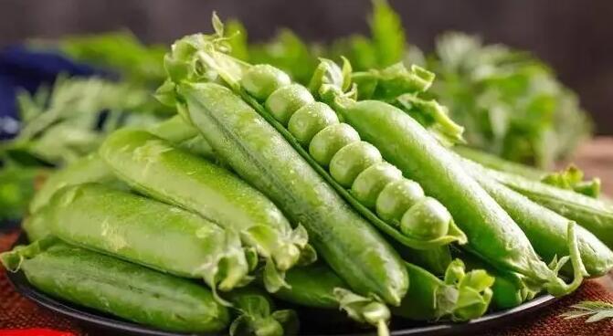 惠州农产品配送教您豆类蔬菜的贮藏保鲜技术