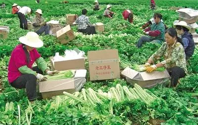 农产品配送了解巴彦淖尔市组织召开市“菜篮子”食品管理联席会议
